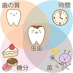 むし歯予防にはバランスが大切