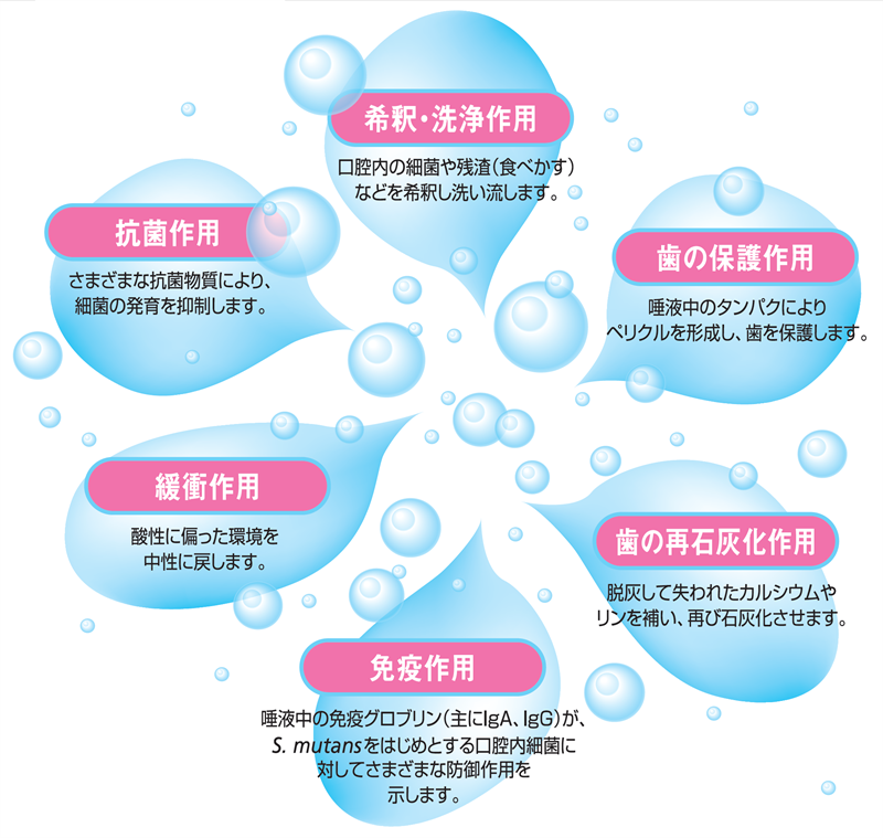 口が渇くドライマウス（口腔乾燥症） | いわき市の歯医者 酒井歯科医院