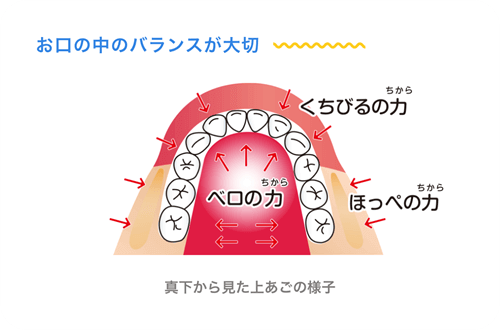 プレオルソでの歯並び改善は舌が非常に大事！