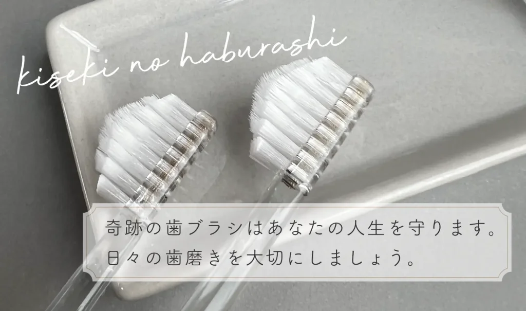 奇跡の歯ブラシ1