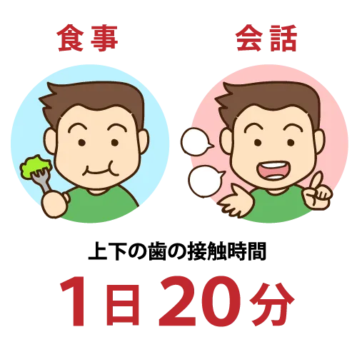 食事と会話で1日の上下の歯の接触時間は20分未満