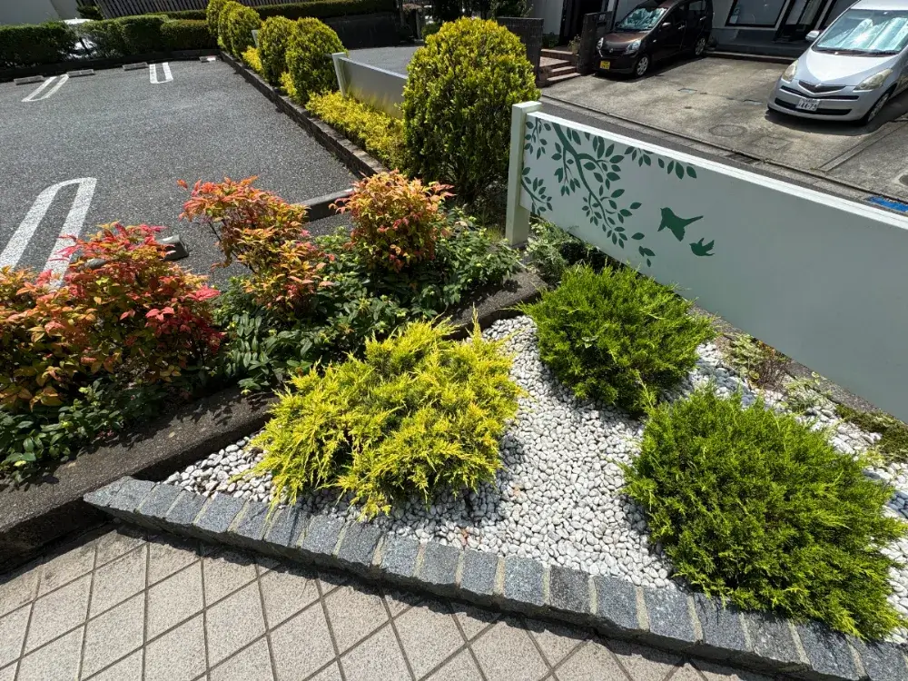 酒井歯科医院の医院外周④
