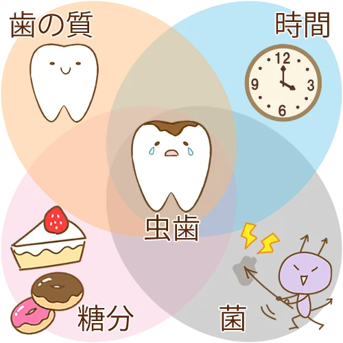 虫歯のリスク②