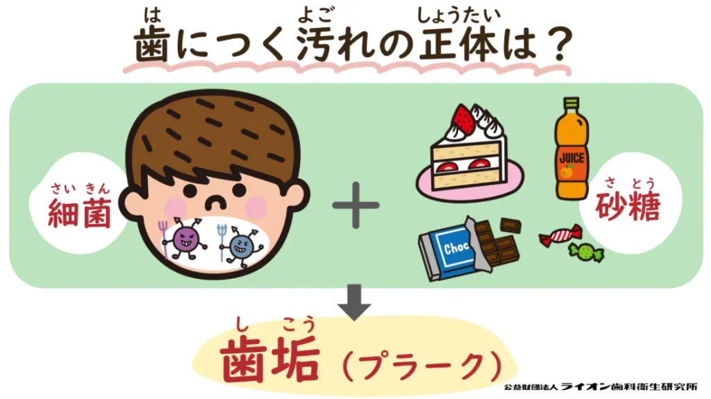 歯磨き教室⑬