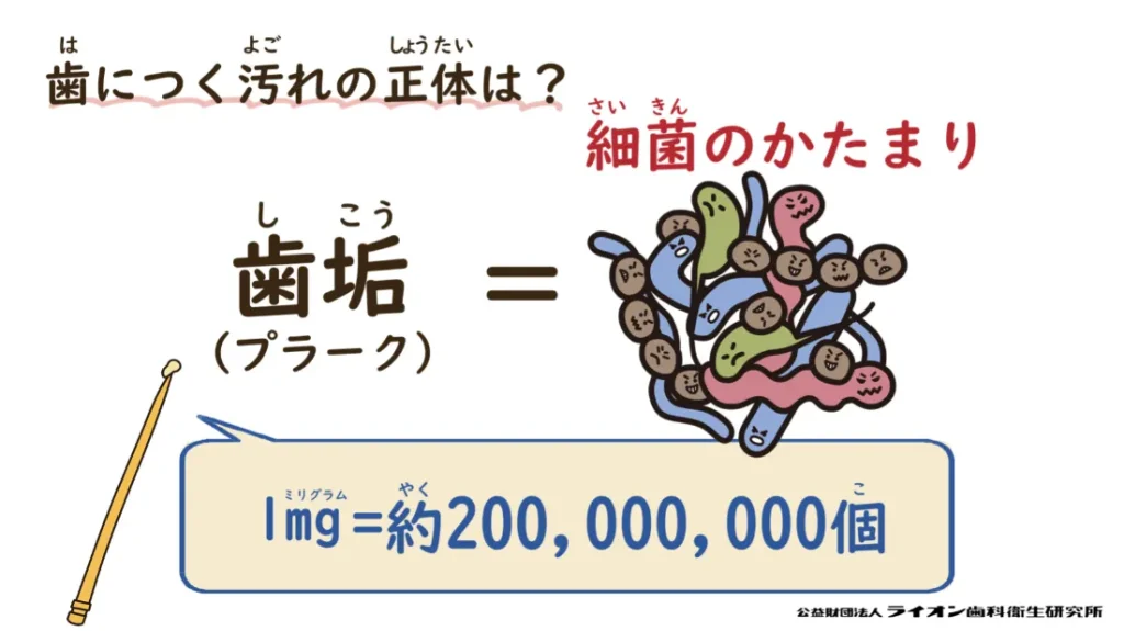 歯磨き教室⑭