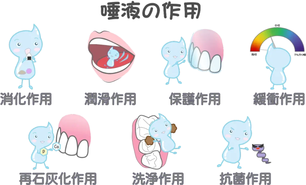 唾液のありがたい働き
