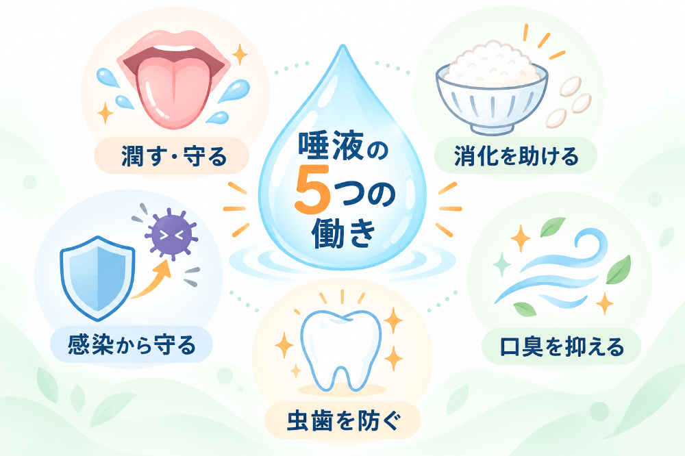 唾液の5つの働きを示す図：お口を潤し粘膜を守る、消化を助ける、口臭を抑える、再石灰化で虫歯を防ぐ、免疫で感染から守る
