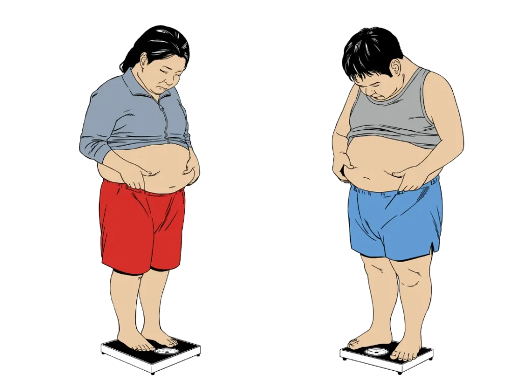 歯と肥満との因果関係①
