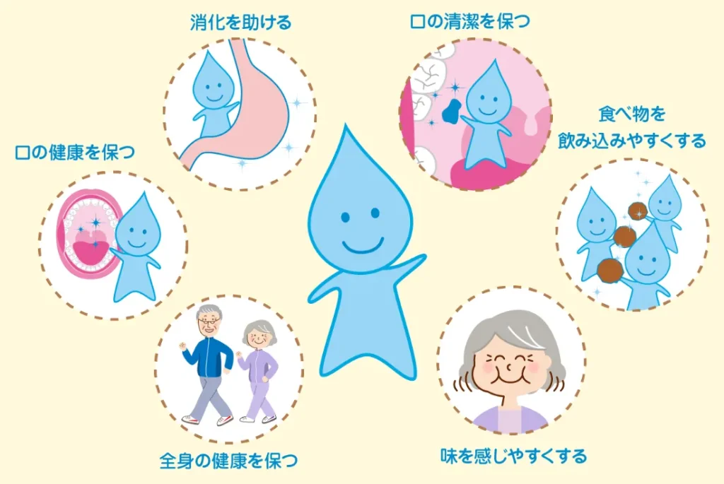 唾液のありがたい働き