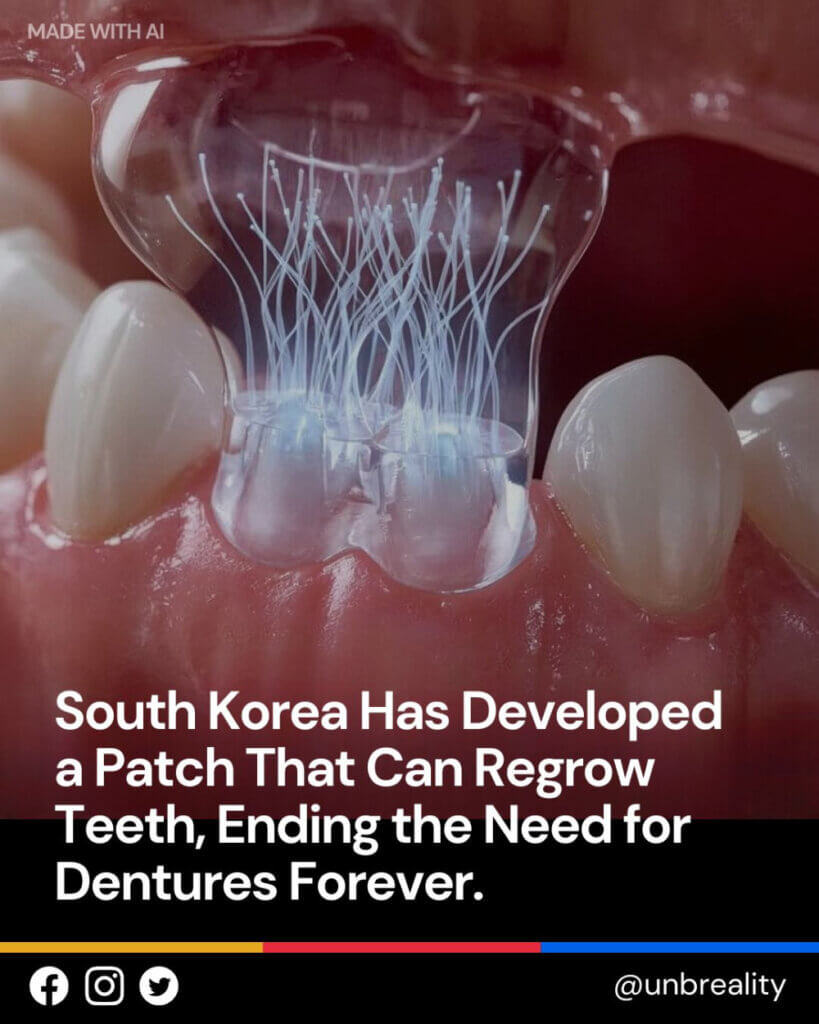 本物の歯が再び生えてくる？韓国で話題の「歯の再生パッチ」のイメージイラスト
