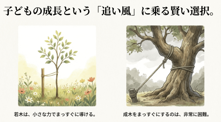 若木は少ない力で整えられる一方、成木は修正が難しいことから成長期介入の重要性を表した例え図
