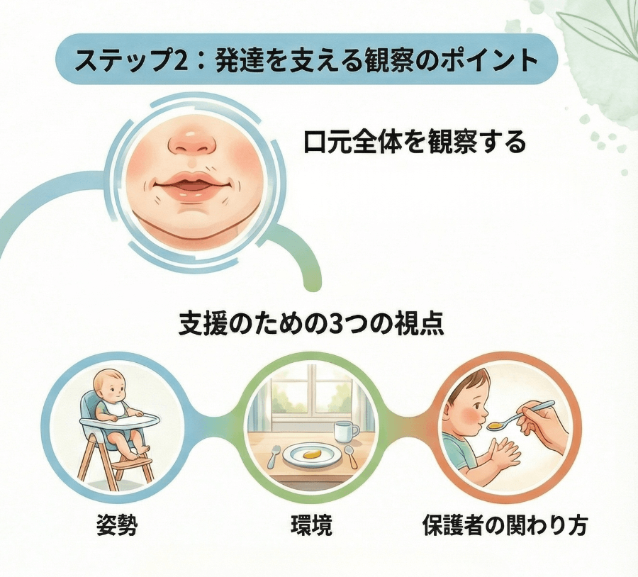離乳期の発達を支える観察ポイントを示した図。姿勢・食事環境・保護者の関わり方の3つの視点が重要であることを示しています。