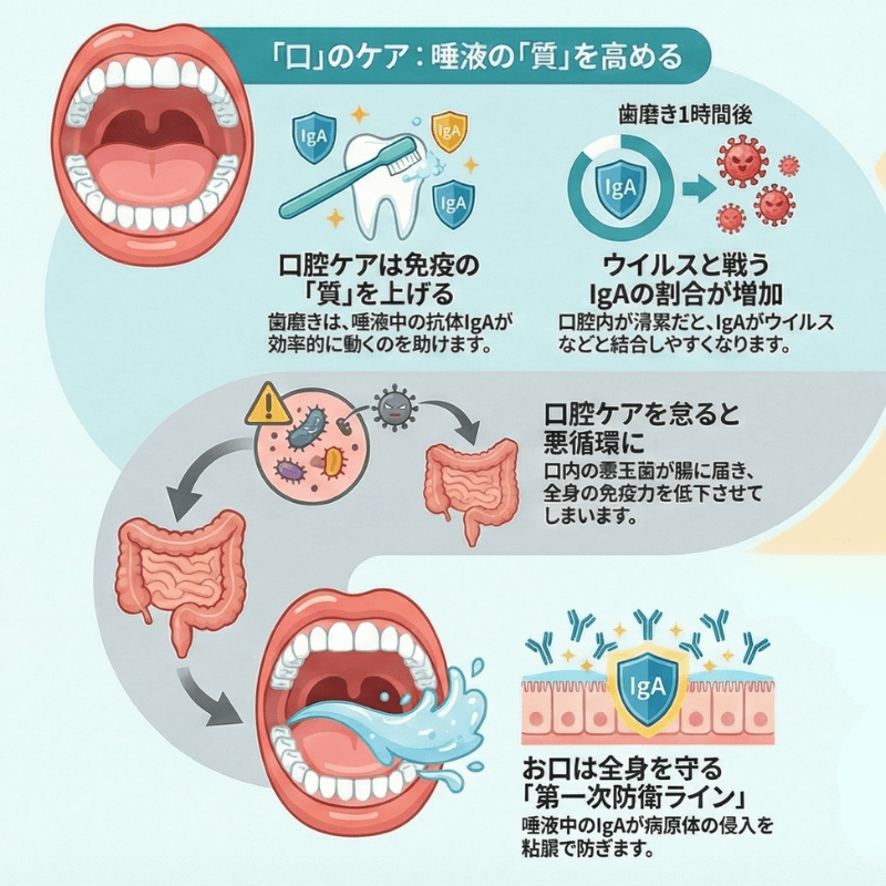 唾液の免疫力を高める口腔ケアの仕組み