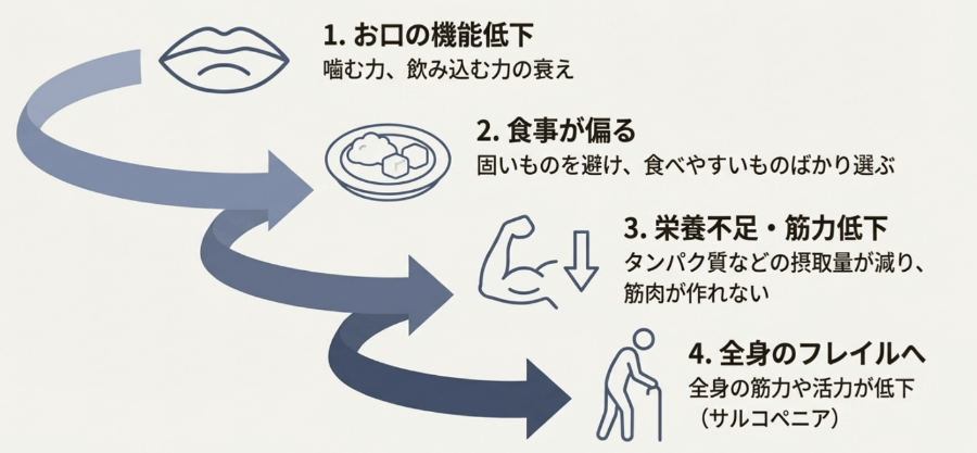 お口の機能低下から全身のフレイルへ進行する流れを示した模式図
