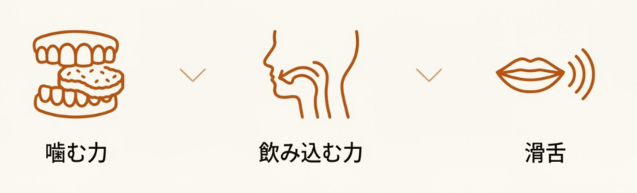 噛む力・飲み込む力・滑舌などオーラルフレイルに関わる口腔機能の図解