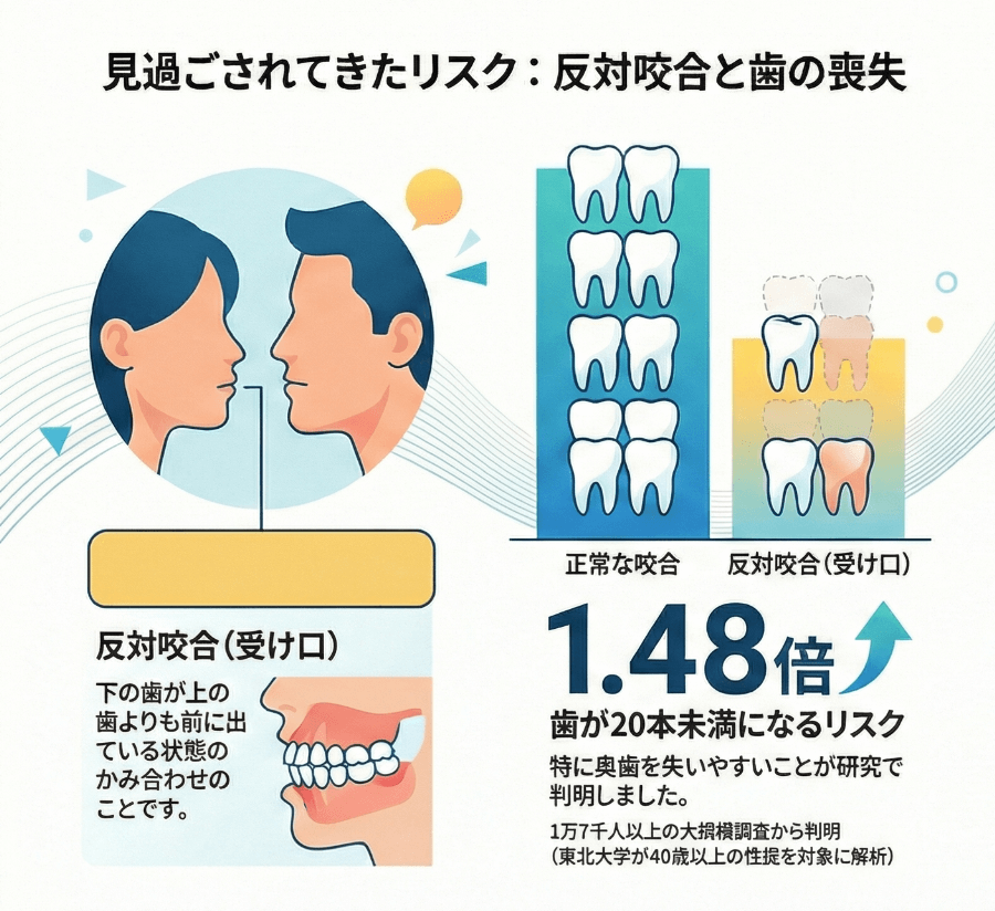 反対咬合（受け口）の人は歯が20本未満になるリスクが1.48倍高いことを示した研究データの図
