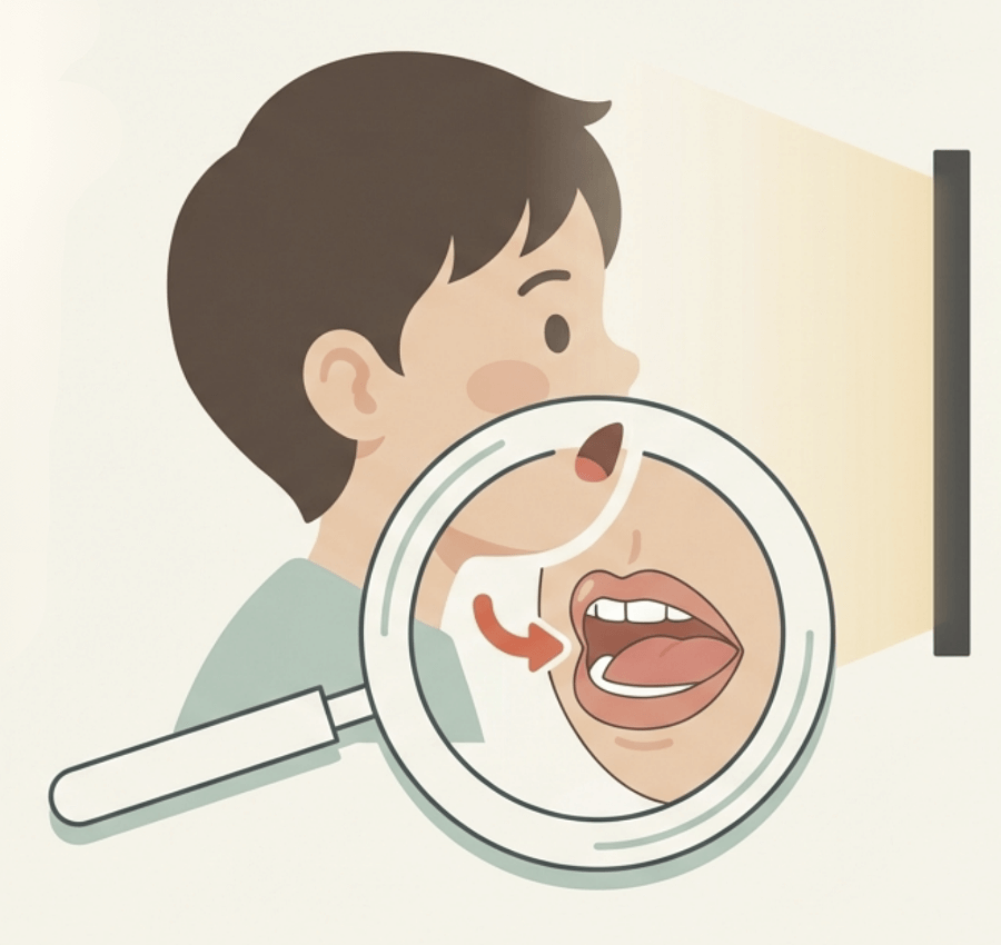 口が開いた状態で口呼吸をしている様子を拡大表示したイラスト