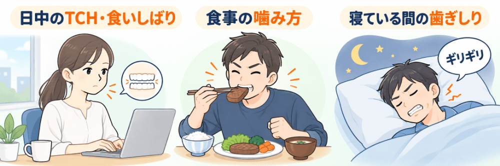 歯に負担がかかる3つの場面:日中の作業中のTCHや食いしばり、食事のときの噛み方、寝ている間の歯ぎしり
