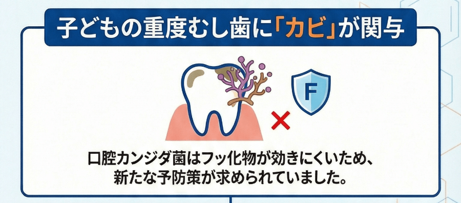 子どもの重度虫歯にカンジダ菌（カビ）が関与していることを示す図解