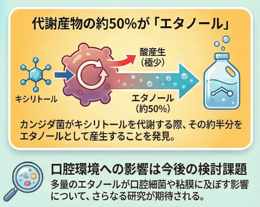 カンジダ菌がキシリトールを代謝すると約50％がエタノールになることを示す図