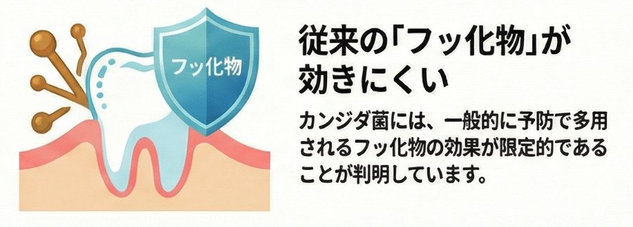 カンジダ菌には従来のフッ化物が効きにくいことを示すイラスト