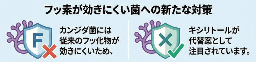 フッ素が効きにくいカンジダ菌への新しい対策としてキシリトールが注目されている図
