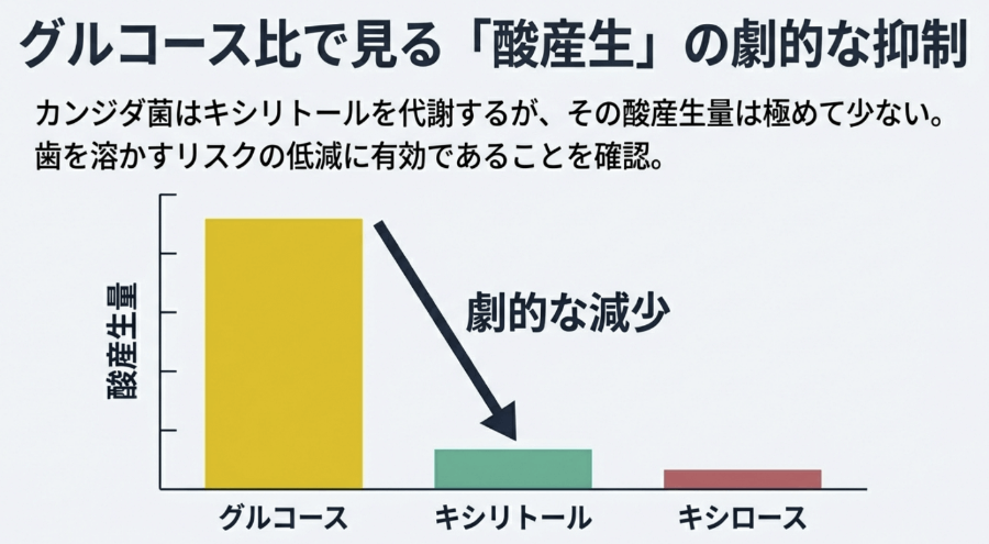 グルコースと比較してキシリトールの酸産生が劇的に抑制されることを示すグラフ