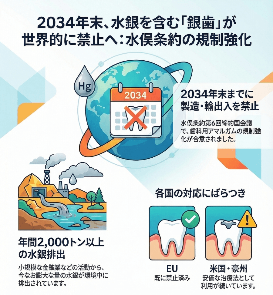 水俣条約に基づき2034年末までに歯科用アマルガムの製造・輸出入が禁止されることを示したインフォグラフィック