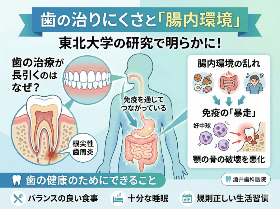 歯の健康のために大切な生活習慣｜食事・睡眠・腸内環境の改善