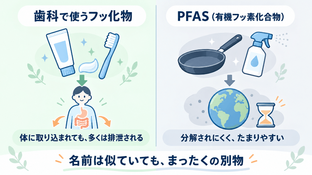 歯科で使う無機フッ化物と、ニュースで話題の有機フッ素化合物（PFAS）の違いを比べた図：歯磨き粉に使われ尿として排泄されるフッ化物と、フライパンのコーティングなどに使われ分解されにくいPFAS