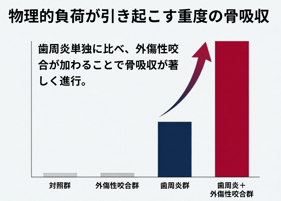 歯周炎に外傷性咬合が加わると骨吸収が著しく進行することを示す棒グラフ比較