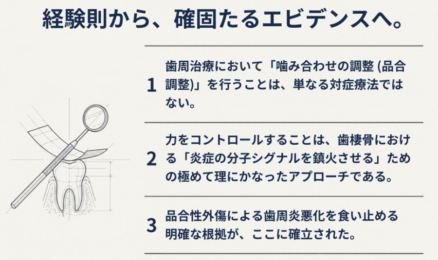 歯周治療における咬合調整の意義｜経験則から確固たるエビデンスへ（3つのポイント）