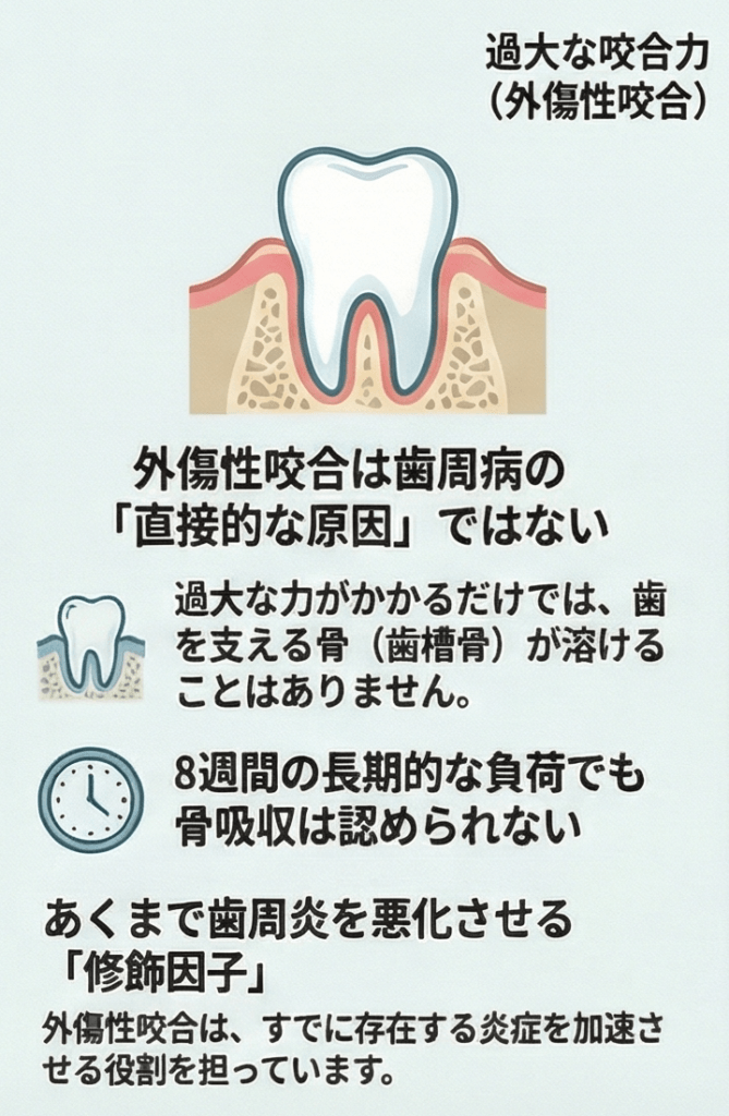 外傷性咬合は歯周病の直接原因ではなく歯周炎を悪化させる修飾因子であることを説明するインフォグラフィック