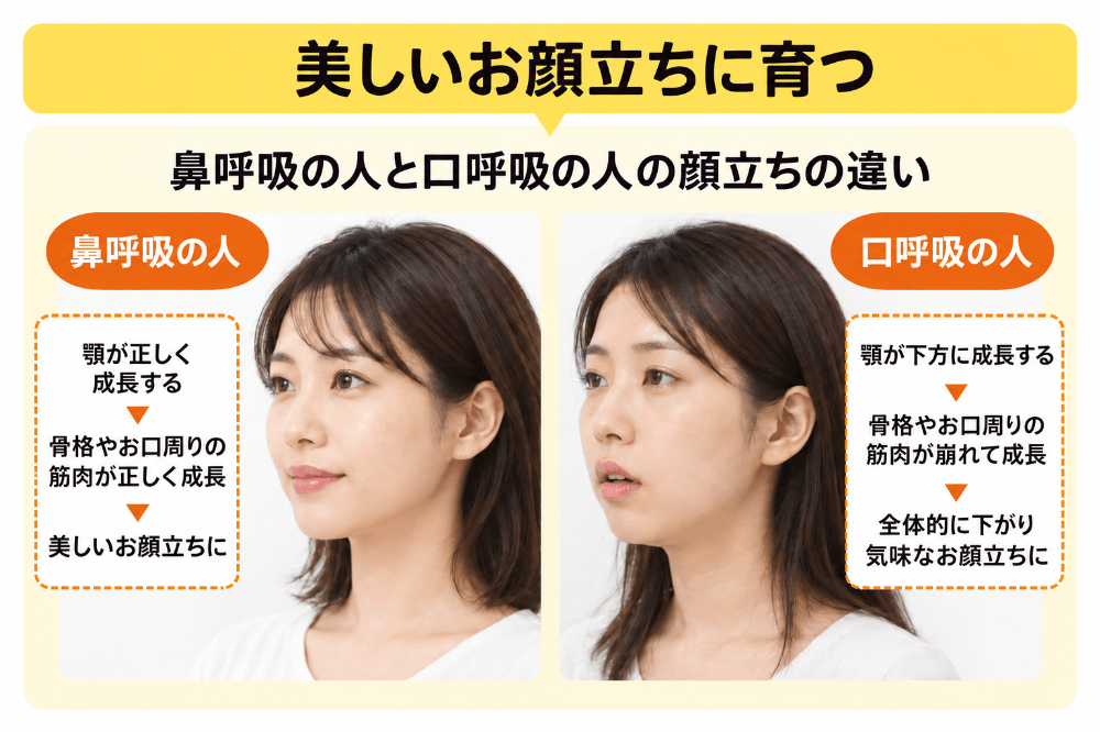 鼻呼吸と口呼吸で将来の顔立ちや顎の成長に差が出ることを示した比較図解