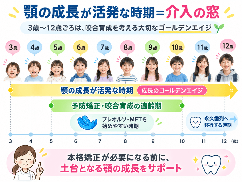 顎の成長が活発な時期と予防矯正・咬合育成の適齢期を示した図