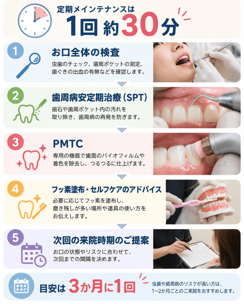 酒井歯科医院の定期メインテナンスの流れ。検査、歯周病安定期治療、PMTC、フッ素塗布とセルフケアのアドバイス、次回来院時期の提案の5ステップで1回約30分