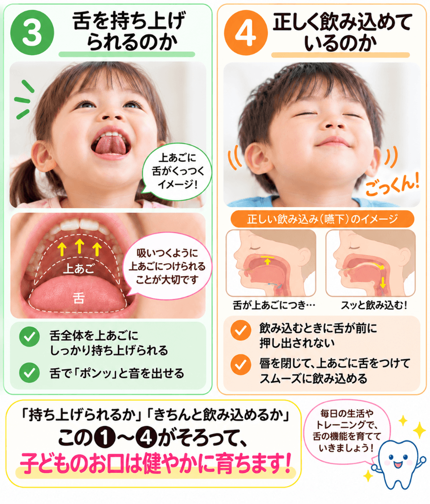 子どもの舌を持ち上げる力と正しい飲み込みを確認するポイントを示した図解